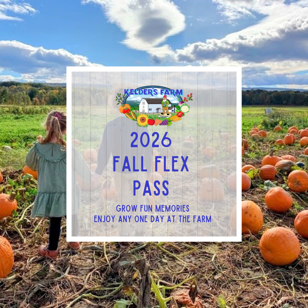 Fall Flex Pass — Any Day 2026