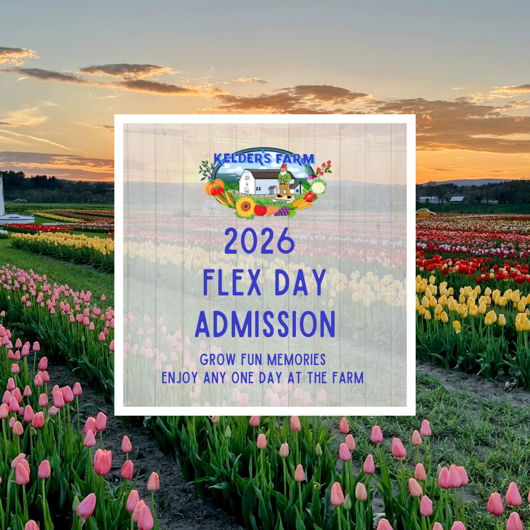 Flex Any Day 2026 Admission