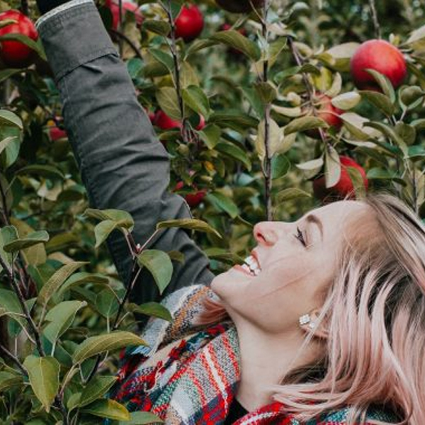 woman reaching to pick apples