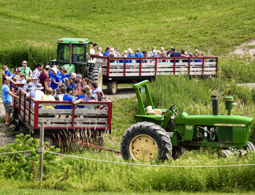 Hayrides