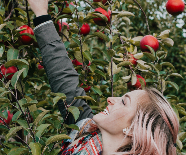 woman picking apples