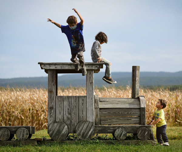 children playing on farm playground