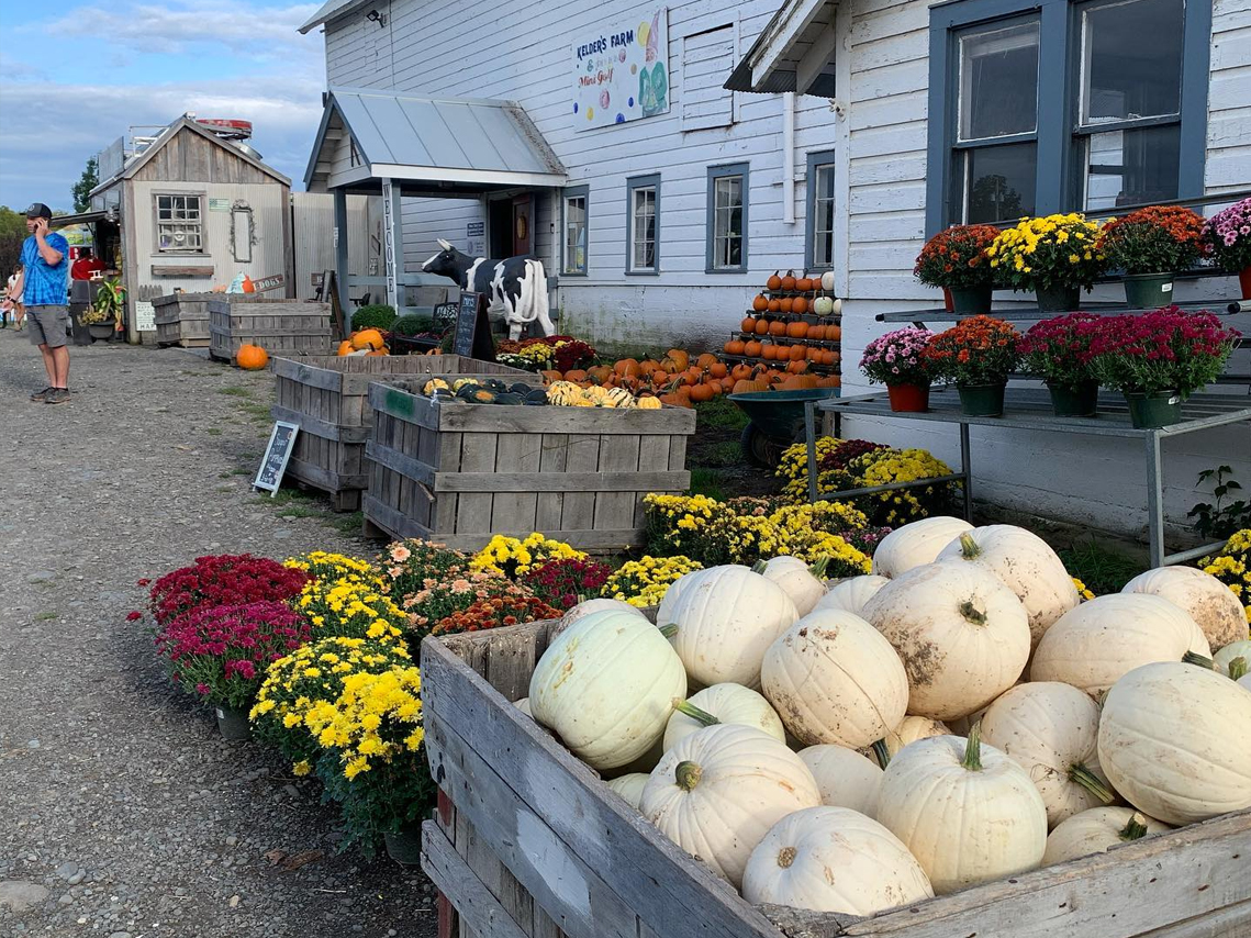 crates of pumpkins & squash outside farm market